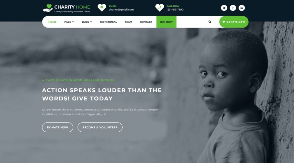 Free WordPress Themes for Donation and Charity Websites - 5